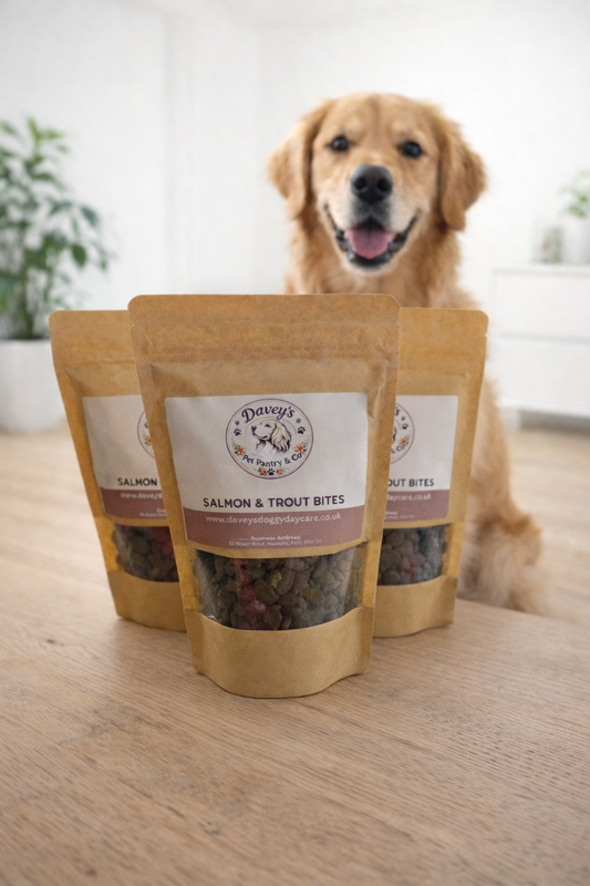 Salmon & Trout Fishy Bites 200g